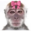 🎀🐵🐈‍⬛ 8