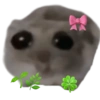 Sad Hamster 13