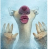 Animais fofinhos  13
