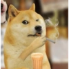 Doge Telugu stickers 9