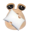 POU SAD 13