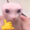 Familia Shitpost  7