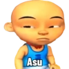 Upin & Ipin 11