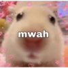 B mwah 3 0.00 .D