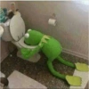 Kermit the frog 7