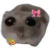 Sad Hamster 8