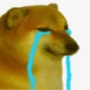 Meme dogs 9