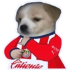 CHIVAS 6