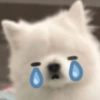 880