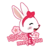 哈展 meet you