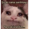 Love aşk  6