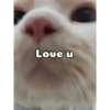 Love u