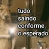 Não sei amar pouco  6
