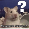 Memes moods 7