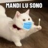 MANDI LU SONO
a