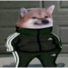 Meme dogs 14