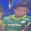 Zoando o Palmeiras  9