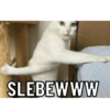 SLEBEWWW