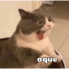 Gatinhos 7