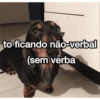 to ficando não-verbal (sem verba