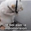 M boi aser la automorision