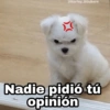 @Harley_Stickers Nadie pidió tú opinión