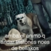 arriba el animo q andar tristones noes de bellakos