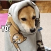 Frío ❄❄ 12