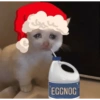 Cat and dog memez 29