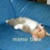 mimir time