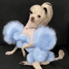 Cat and dog memez 25