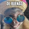 Macaquinhos 6