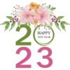 a 22