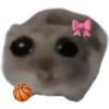 Sad Hamster 7