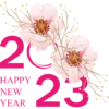20 23 HAPPY NEW YEAR