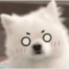 O
O