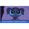 İyi gecelers 22