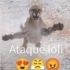 Katsdz 7
