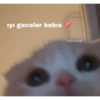 İyi gecelers 24