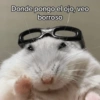 Donde pongo el ojo, veo borroso