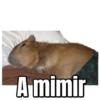 A mimir