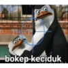 Pinguin 8