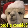 cadê a comida?