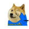 Ipl 6