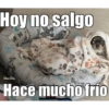 Frío ❄❄ 15