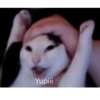 Memes moods 13