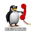 Pinguin 14