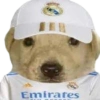 ⚽🤍Real Madrid Memes⚽🤍 5