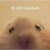 tô com saudade