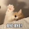BYE BYE!